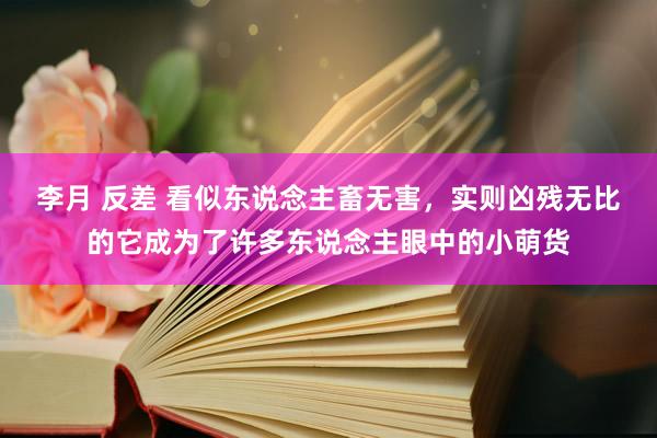 李月 反差 看似东说念主畜无害，实则凶残无比的它成为了许多东说念主眼中的小萌货