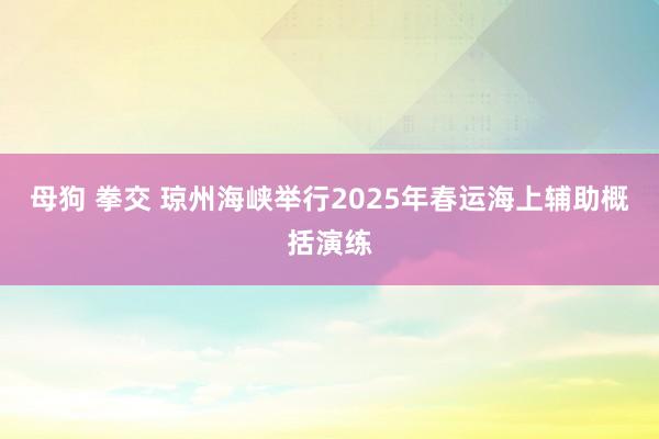 母狗 拳交 琼州海峡举行2025年春运海上辅助概括演练