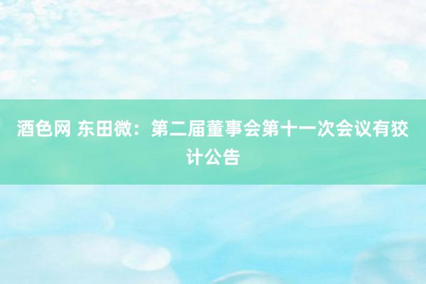 酒色网 东田微：第二届董事会第十一次会议有狡计公告