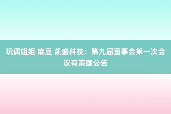 玩偶姐姐 麻豆 凯盛科技：第九届董事会第一次会议有策画公告